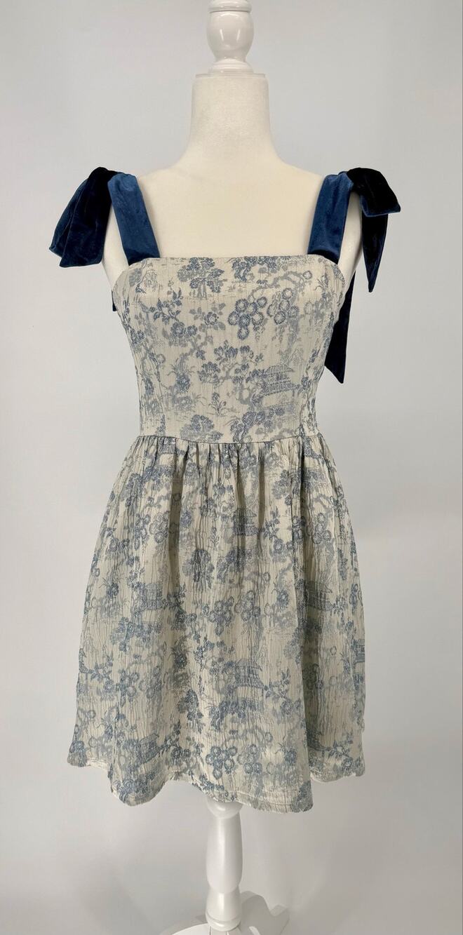 NWT Landry Kate Blue White Toile Velvet Bow Fit & Flare Dress S